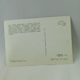 Картинка 2