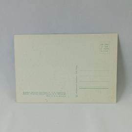 Картинка 2