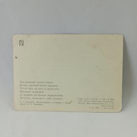 Картинка 2