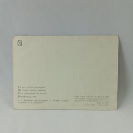 Картинка 2