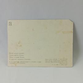 Картинка 2