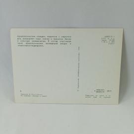 Картинка 2