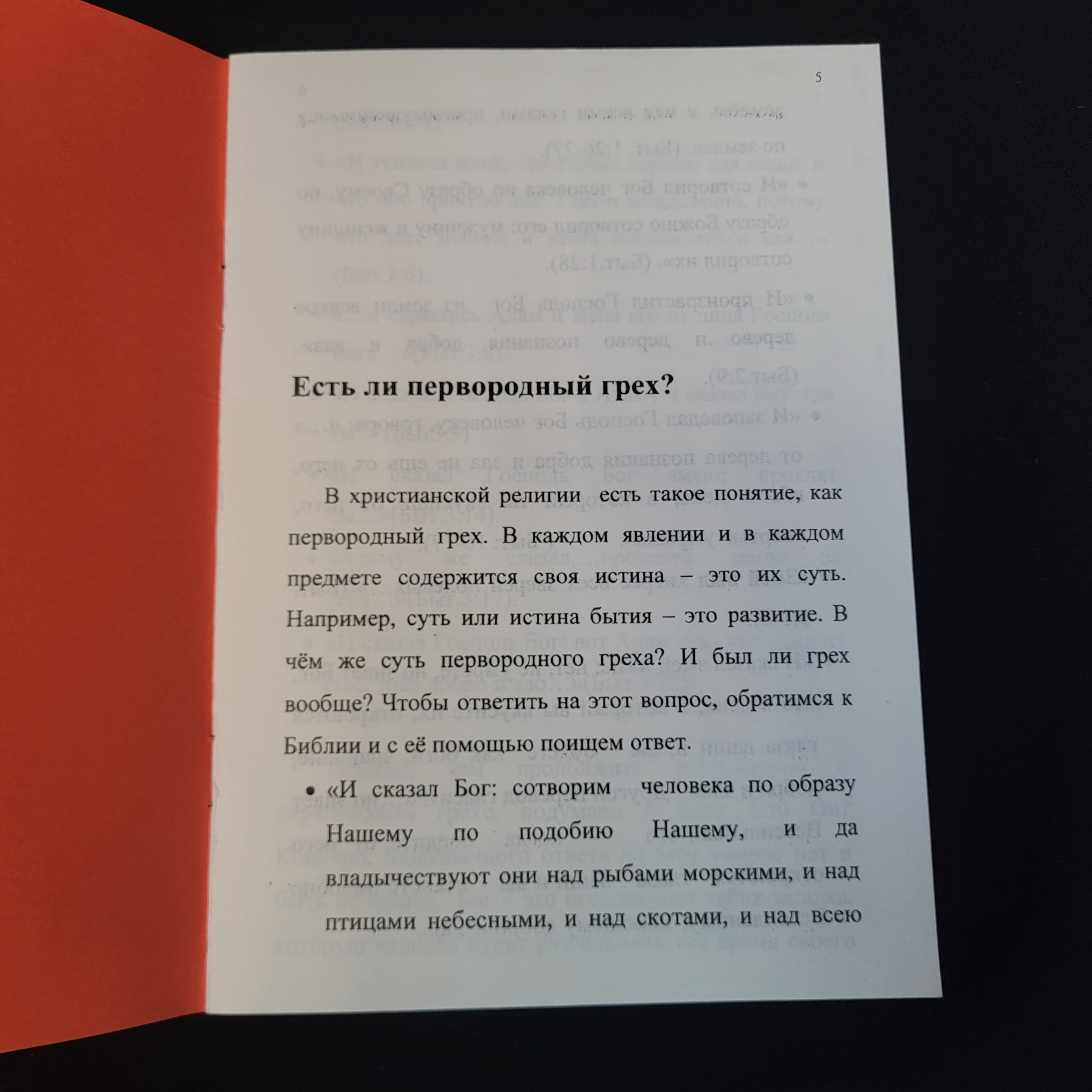 Картинка 3