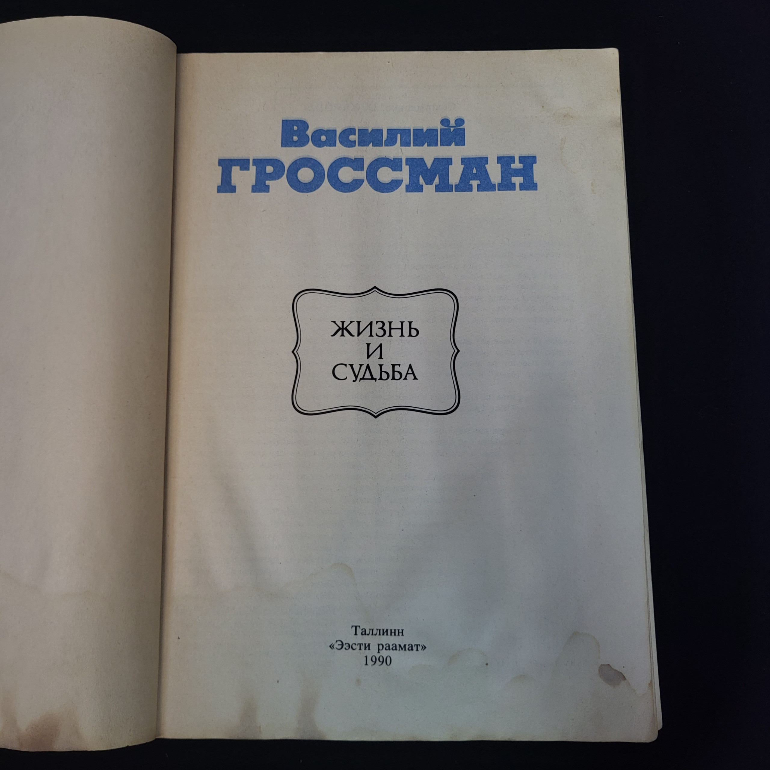 Картинка 4