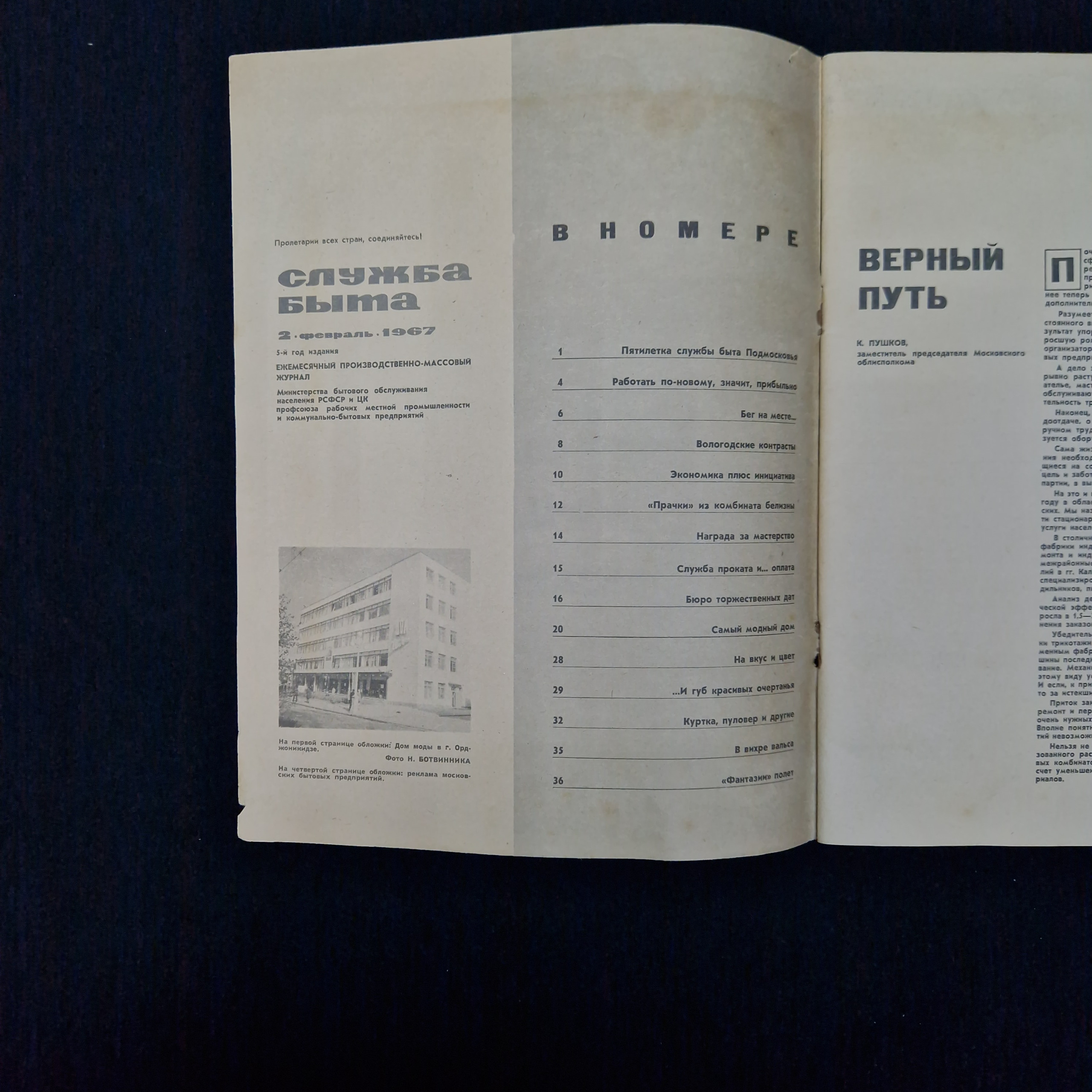 Картинка 3