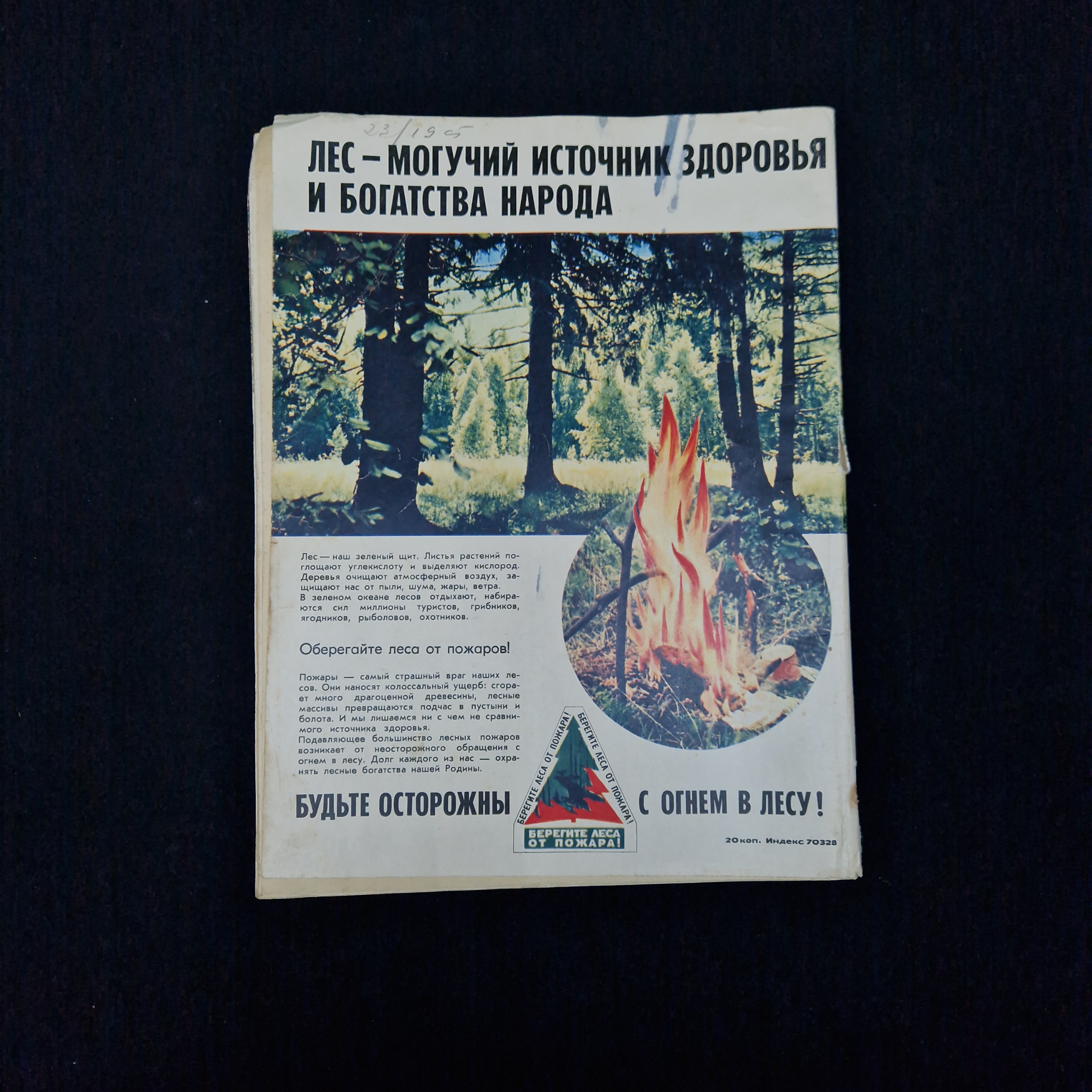 Картинка 2