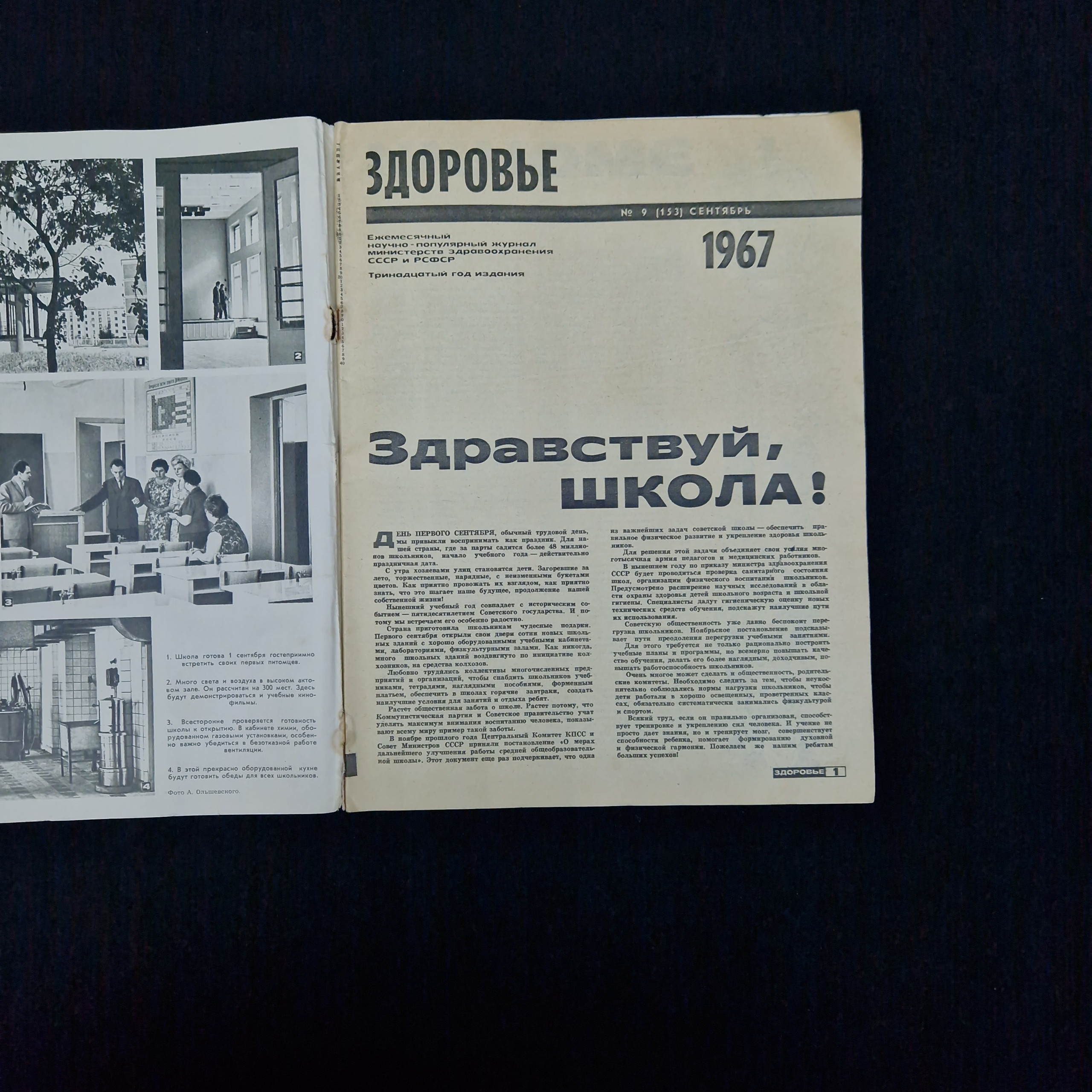 Картинка 3