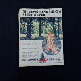 Картинка 2