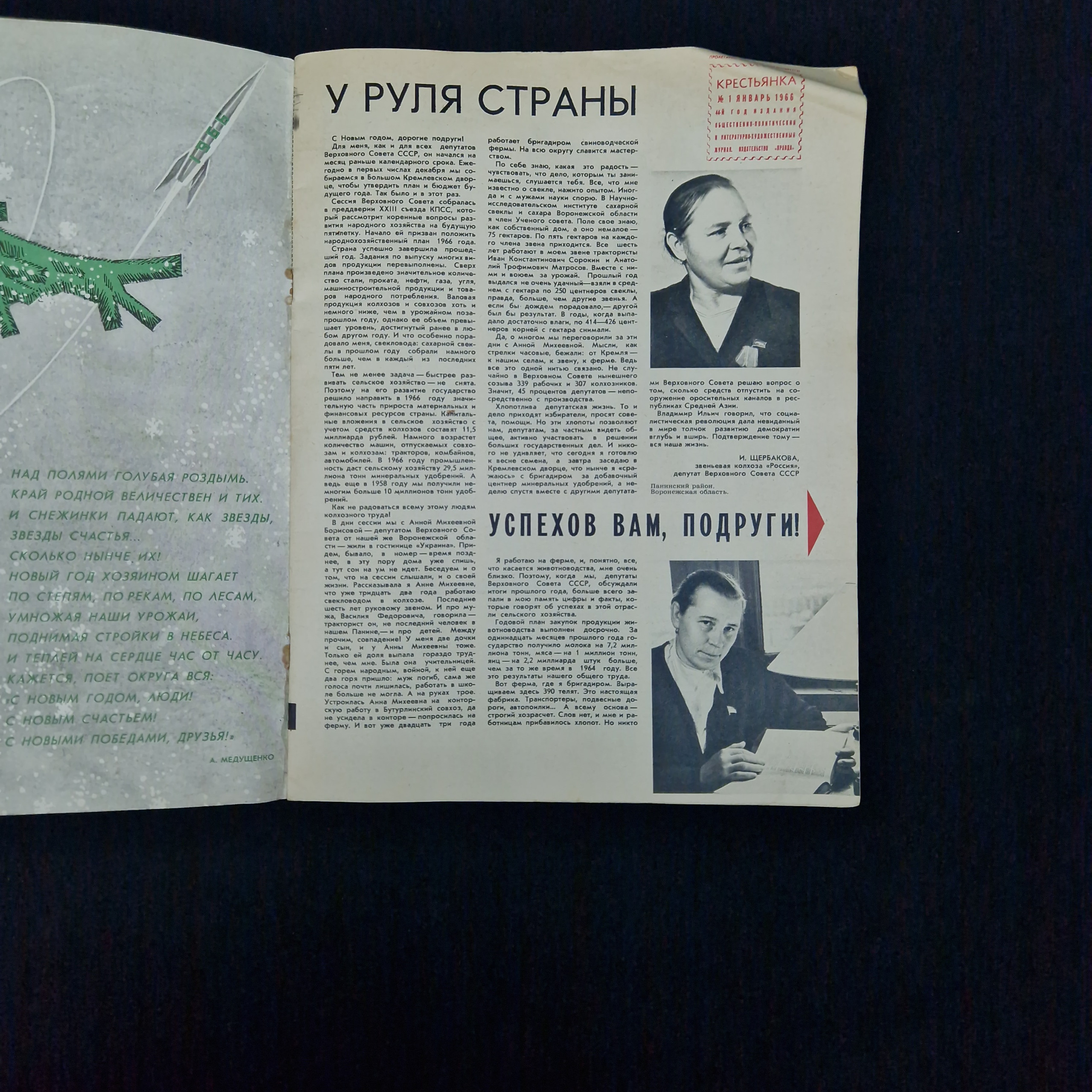 Картинка 3