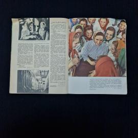 Картинка 4