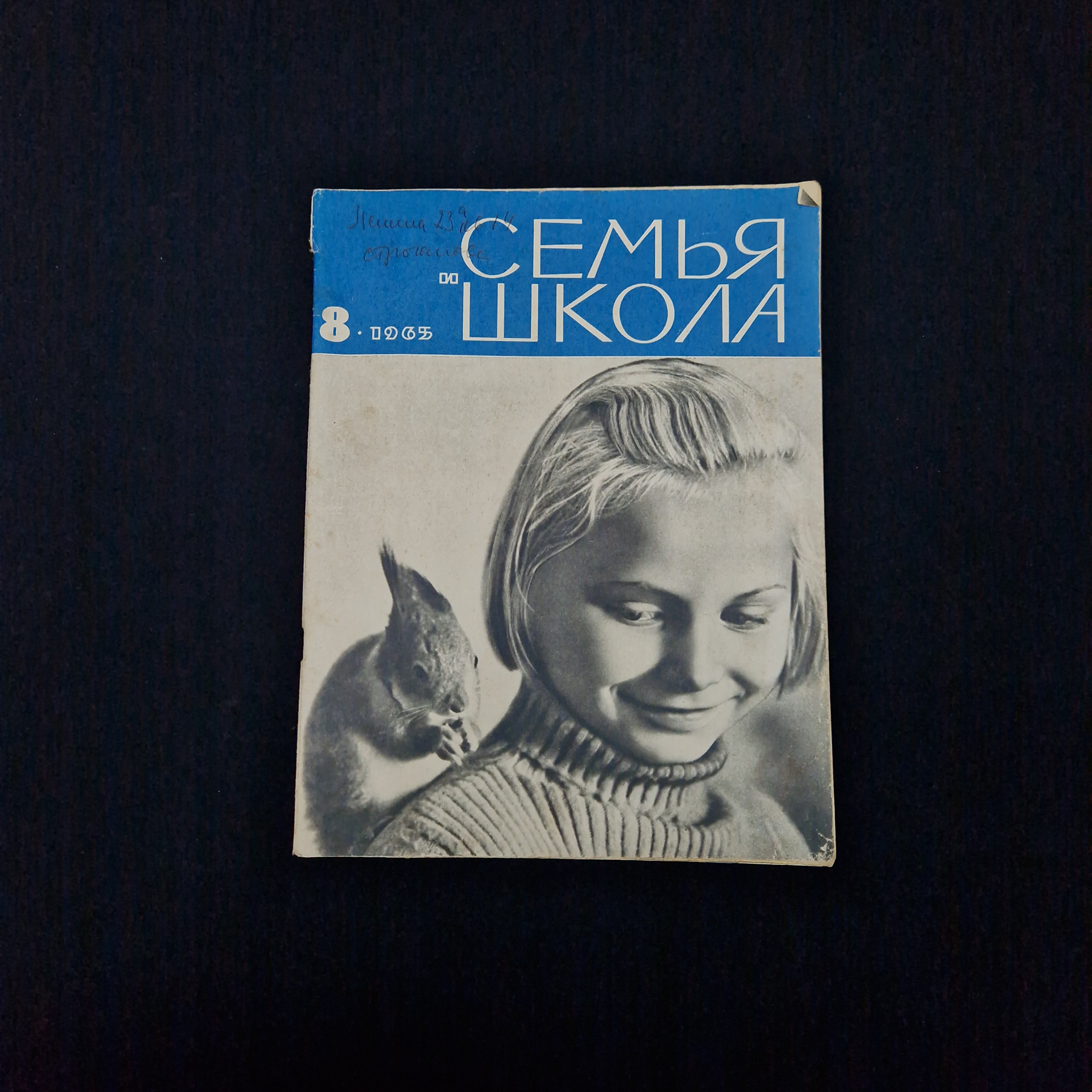 Картинка 1