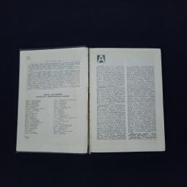 Картинка 3