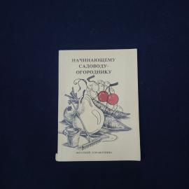 Картинка 1