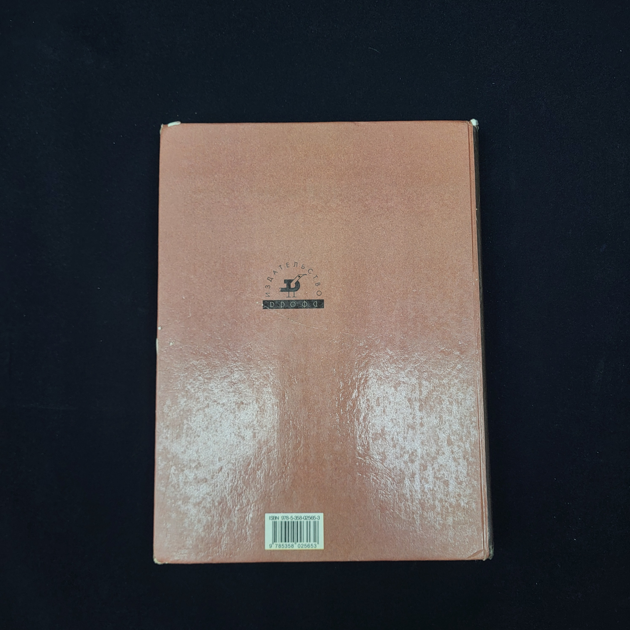 Картинка 6