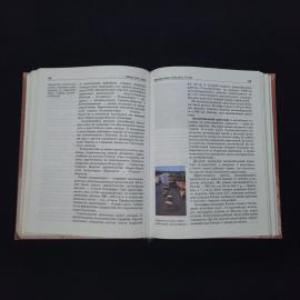 Картинка 4