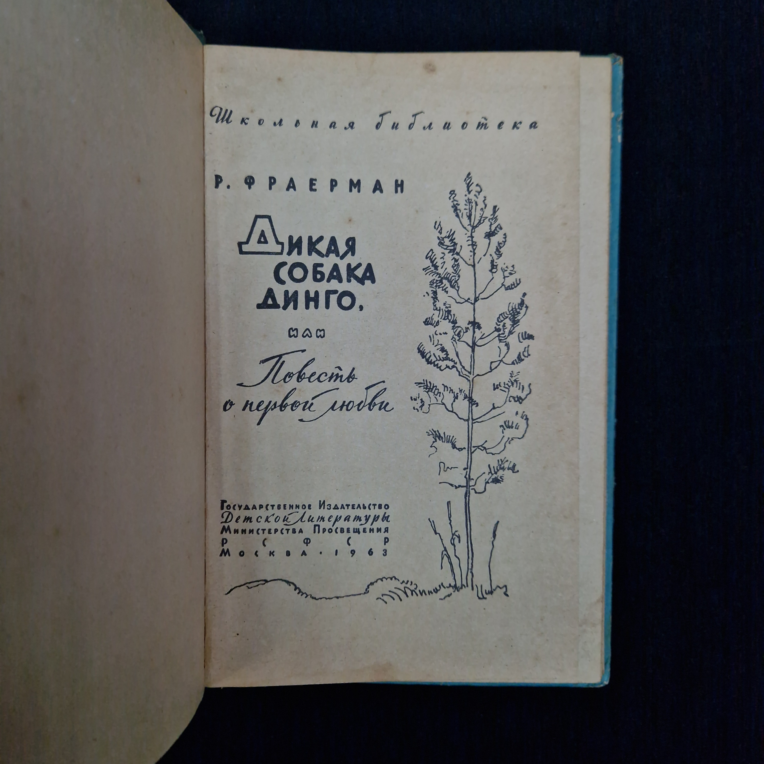Картинка 4