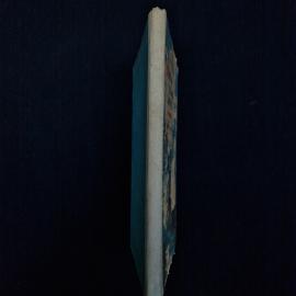 Картинка 2