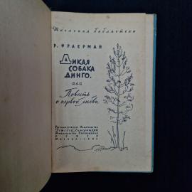 Картинка 4