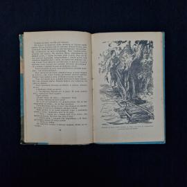 Картинка 6