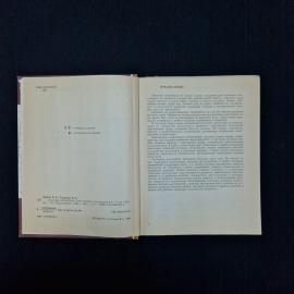 Картинка 5