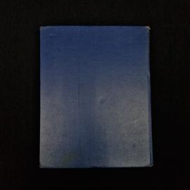 Картинка 3