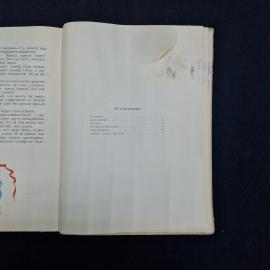 Картинка 5