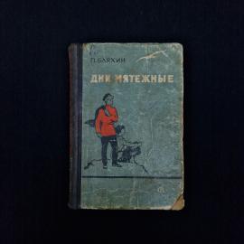 Павел Бляхин. Дни мятежные. Книга СССР, повесть