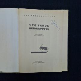 Картинка 4