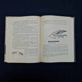 Картинка 5