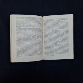 Картинка 6