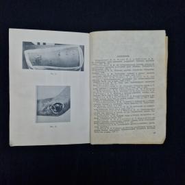 Картинка 7