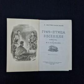 Картинка 5