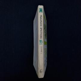 Картинка 2