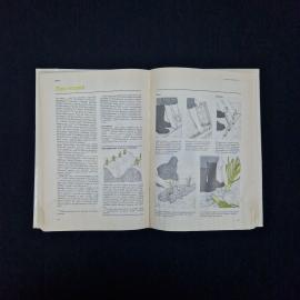 Картинка 6