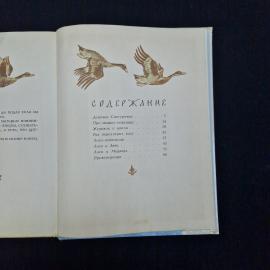 Картинка 6