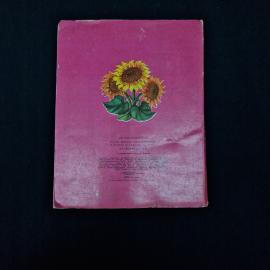 Картинка 4