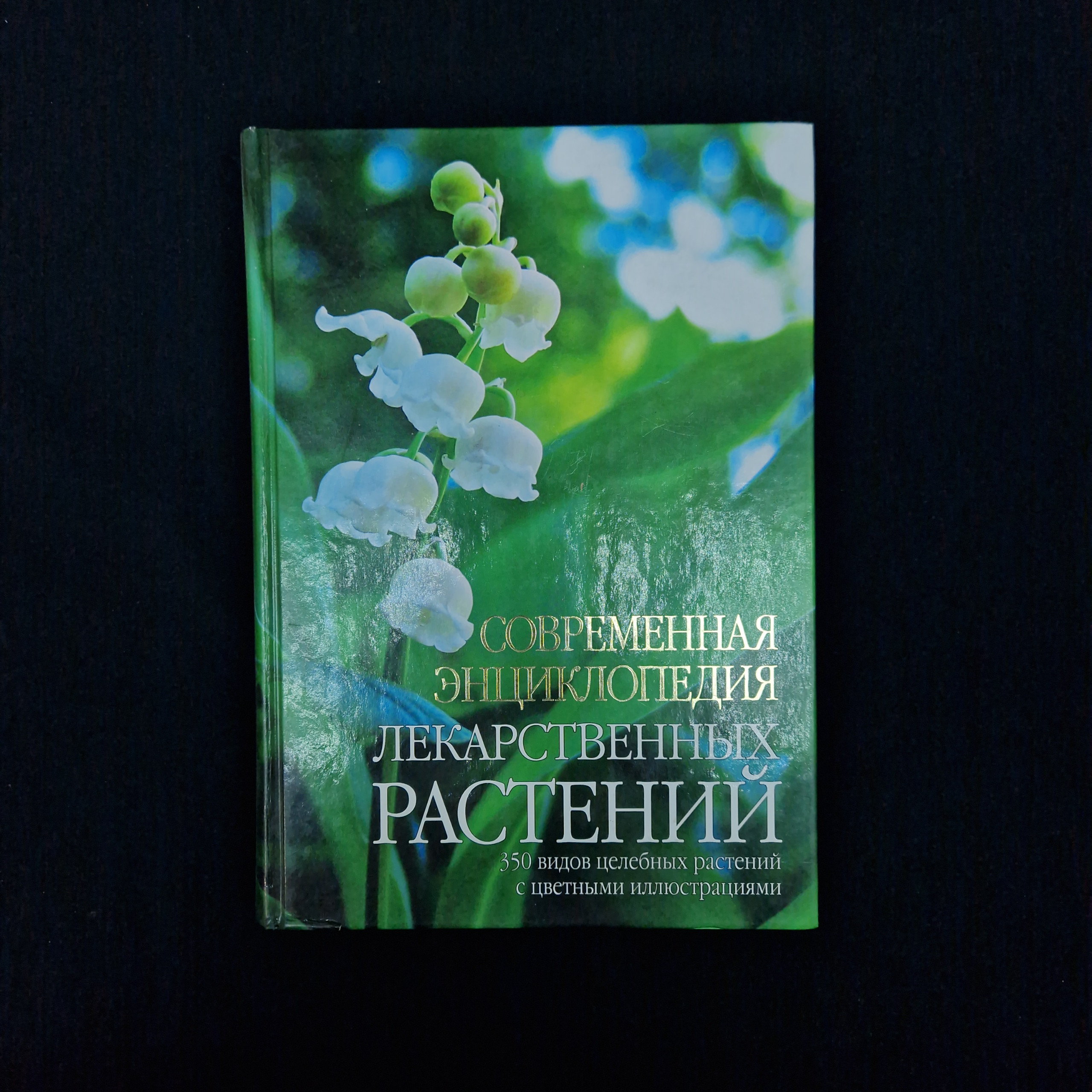 Картинка 1