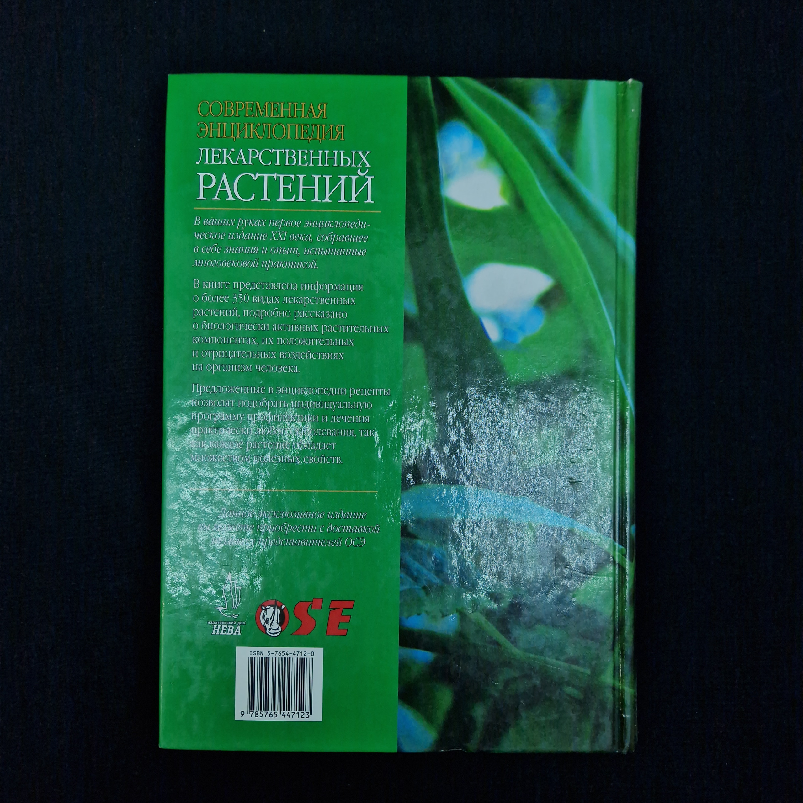 Картинка 3