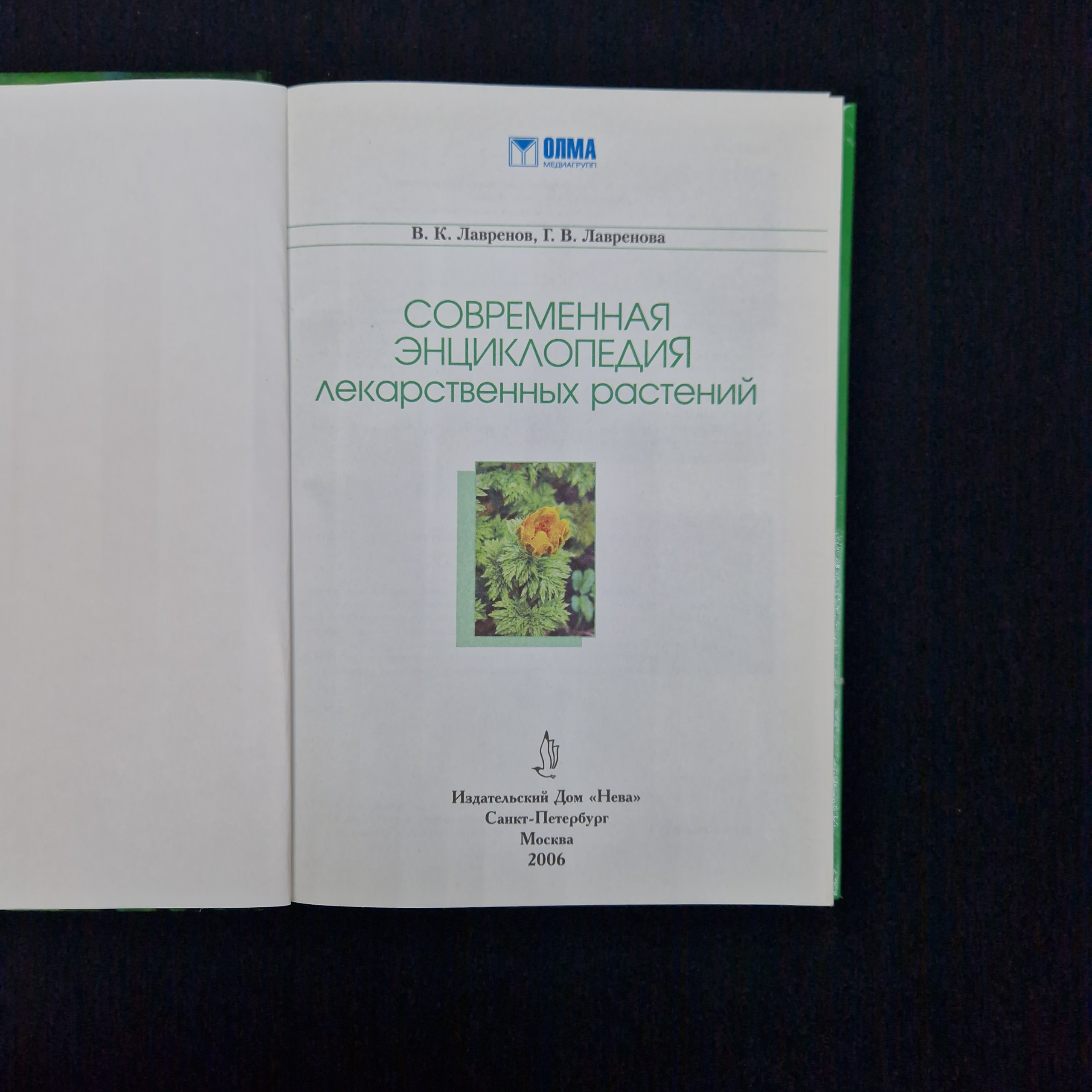 Картинка 4