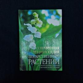 Картинка 1