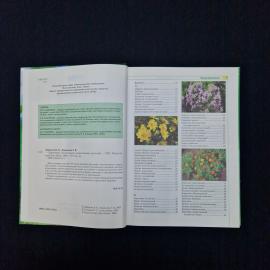 Картинка 5
