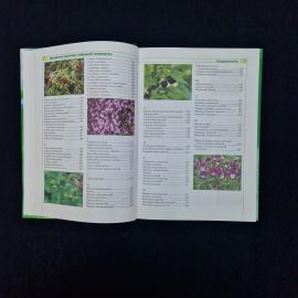 Картинка 6