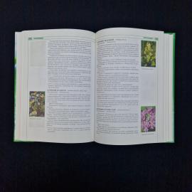 Картинка 7
