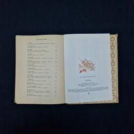 Картинка 7