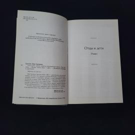 Картинка 4