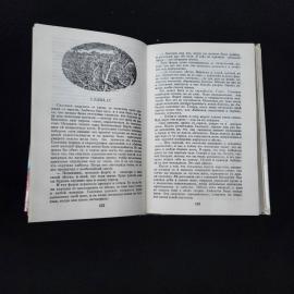 Картинка 5