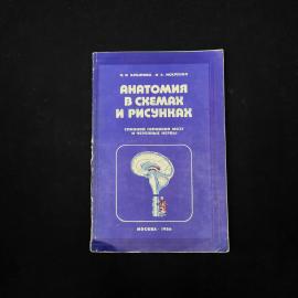 Нина Крылова, Ирина Искренко. Анатомия в схемах и рисунках. Книга СССР, учебник