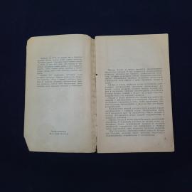Картинка 3