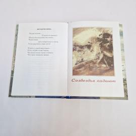 Картинка 6