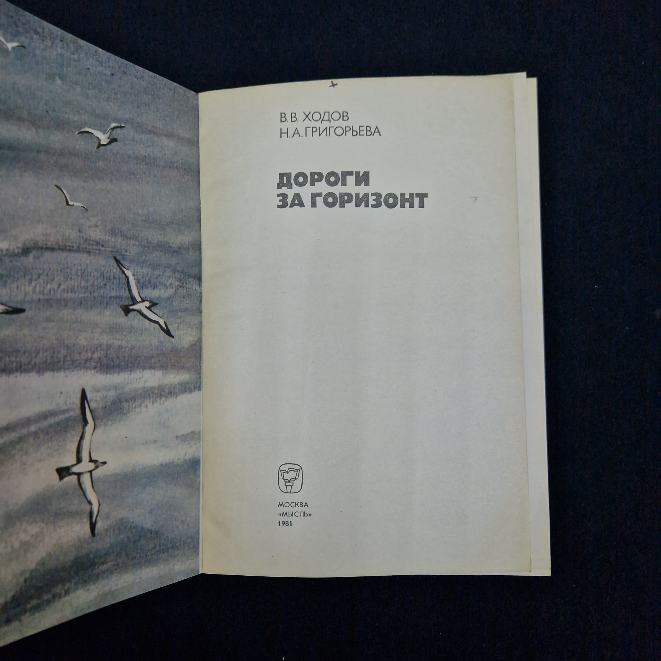 Картинка 4